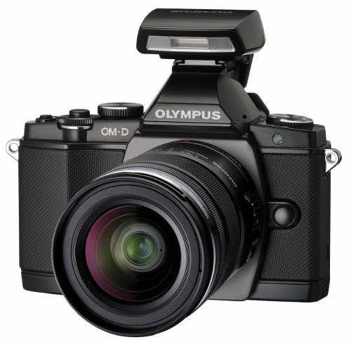 Best Underwater Settings for the Olympus OM-D E-M5 Camera - Underwater  Photography Guide